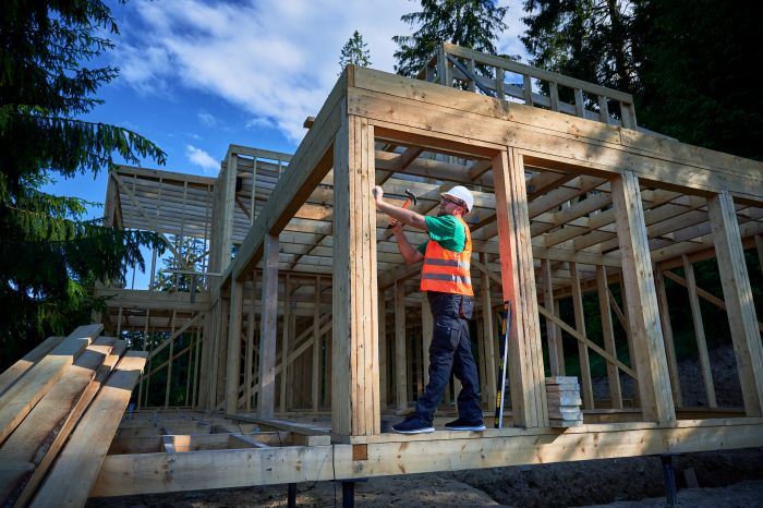 Timber vs Plasterboard: What Architects and Specifiers Need to Know Before Choosing Wall Linings