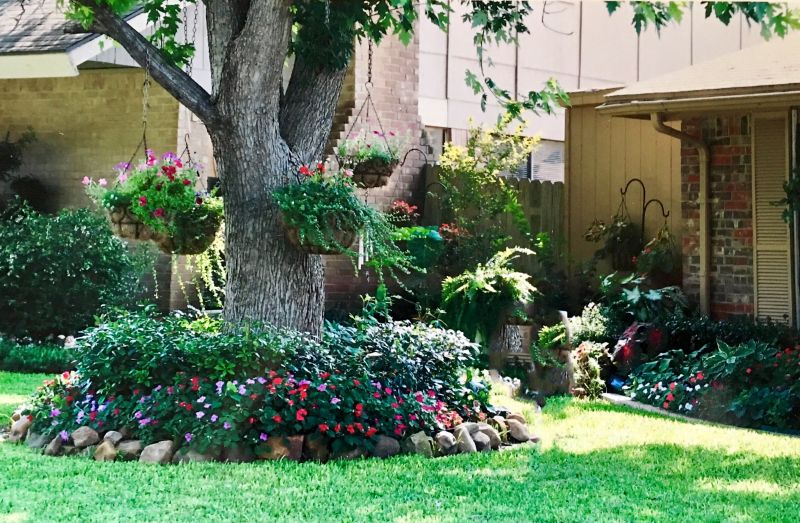 Front Yard Landscaping Ideas Around Tree Roots That Actually Work